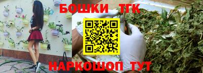 apvp Гусев