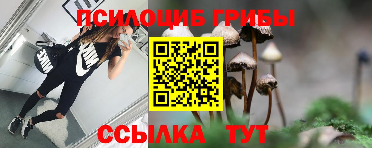 Псилоцибиновые грибы GOLDEN TEACHER Минеральные Воды